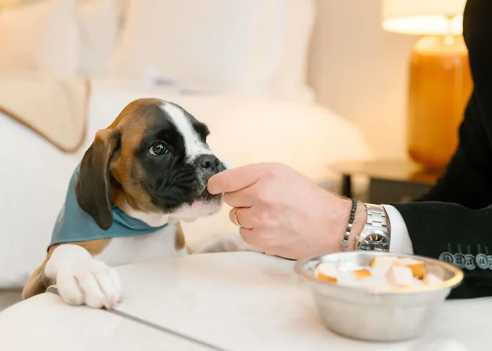 Hotel Sofitel Le Scribe Paris Opera